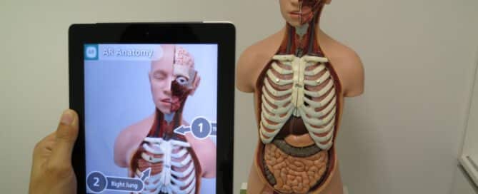 AR-anatomie