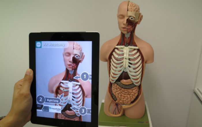 AR-anatomie